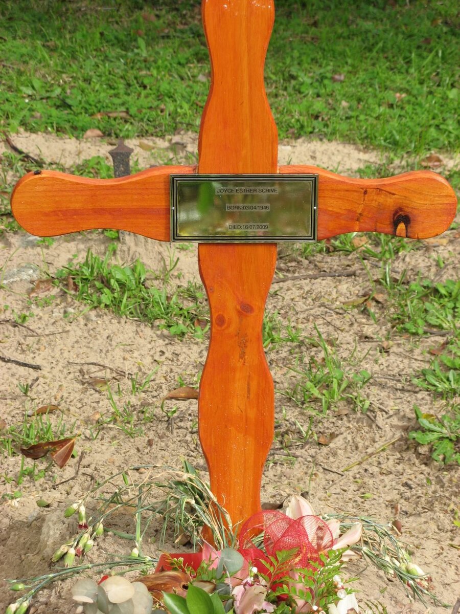 SCHIVE Joyce Esther 1946-2009