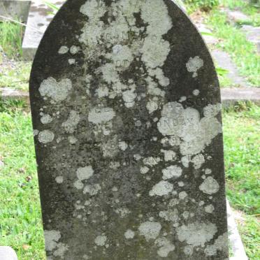 THOMASSON Cotterell Philip -1896