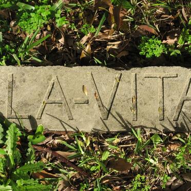 VITA, la