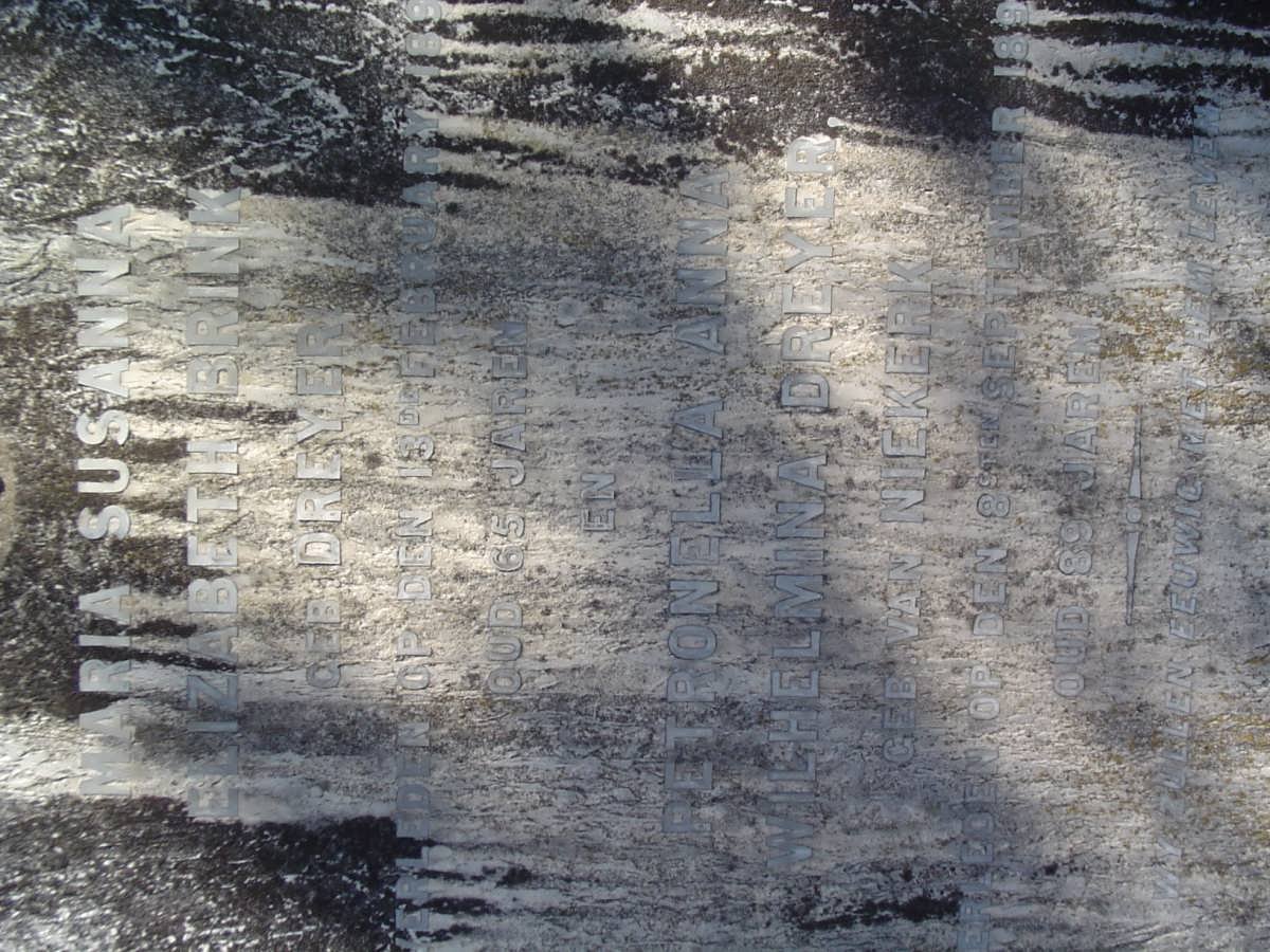 BRINK Maria Susanna Elizabeth nee DREYER -189? :: DREYER Petronella Anna Wilhelmina nee VAN NIEKERK -1891