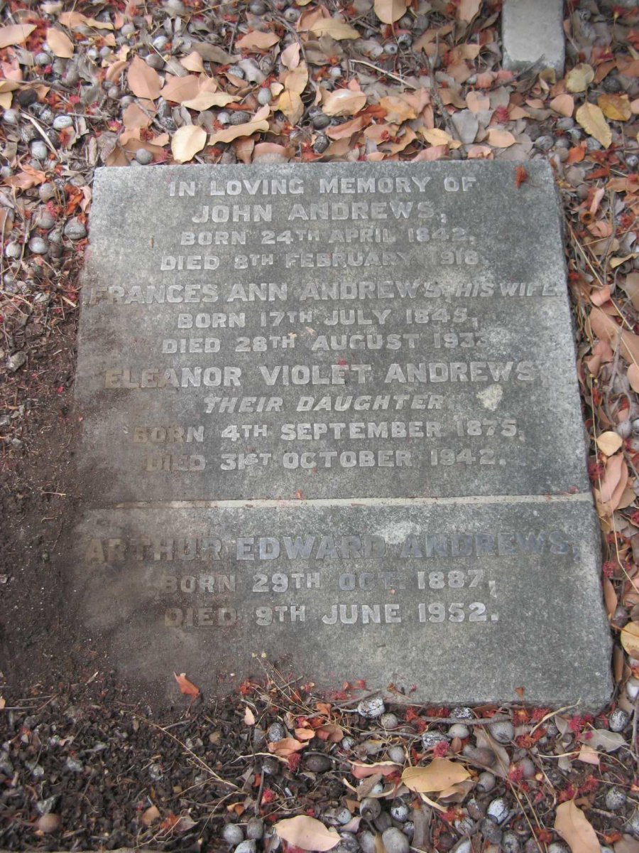 ANDREWS John 1842-1918 &amp; Frances Ann 1845-1933 :: ANDREWS Eleanor Violet 1875-1942 :: ANDREWS Arthur Edward 1887-1952