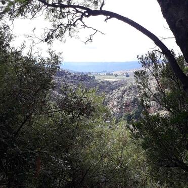 2. Overview / Oorsig