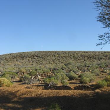 1. Oorsig Bassonsgat