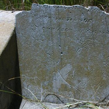 ? Johannes Jacobus, 1840-1883 