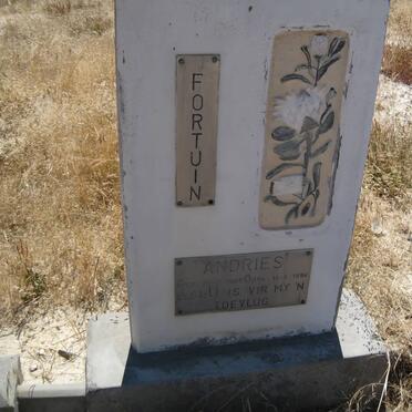 FORTUIN Andries 1963-1994