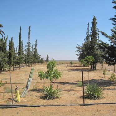 3. Oorsig oor grafte by Platfontein Begraafplaas