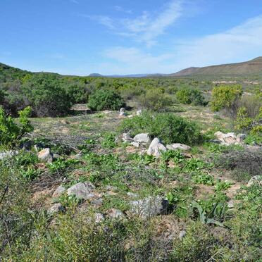 Western Cape, CLANWILLIAM district, Papekuilfontein 11, Papkuilsfontein, farm cemetery