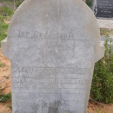 LAUBSCHER Aletta Jacoba Johanna nee SCHREUDER 1876-19?1