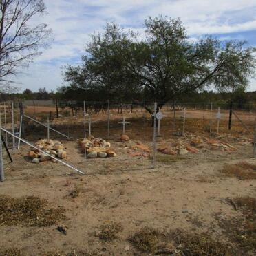 3. Overview / Oorsig