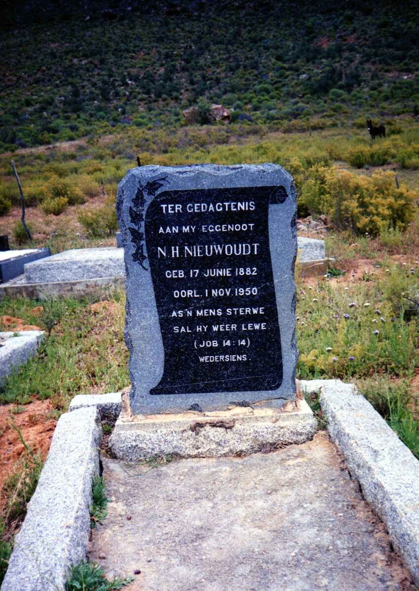 NIEUWOUDT N.H. 1882-1950