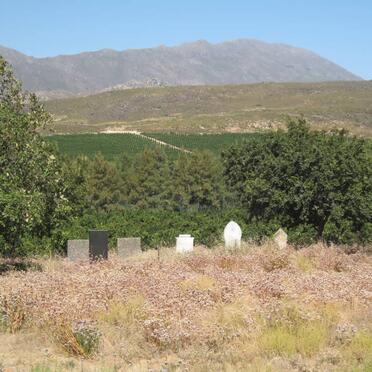 2. Oorsig oor grafte op die plaas Boontjiesrivier, Citrusdal