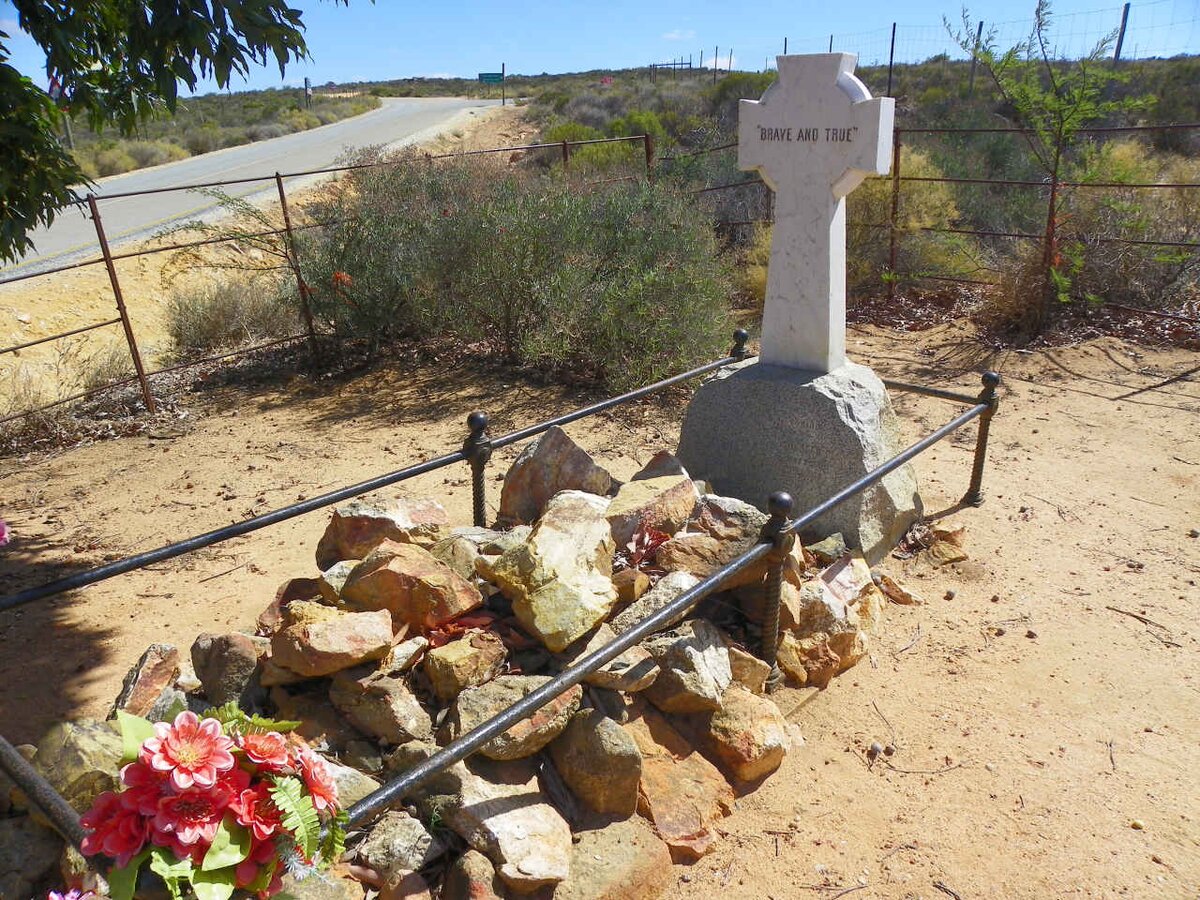 3. Overview / Oorsig