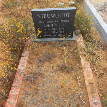 NIEUWOUDT Cornelius J. 1963-1964