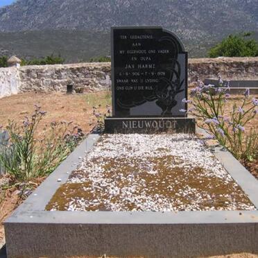 NIEUWOUDT Jan Harmz 1906-1978