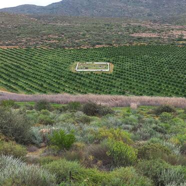 Western Cape, CLANWILLIAM district, Kransvlei 205, Kransvlei, farm cemetery