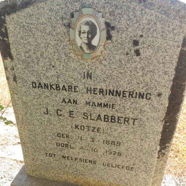Western Cape, CLANWILLIAM district, Swartberge, Olyvenboschkraal 254, farm cemetery