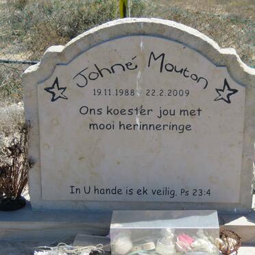 MOUTON Johné 1988-2009