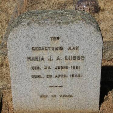 LUBBE Maria J.A. 1861-1945