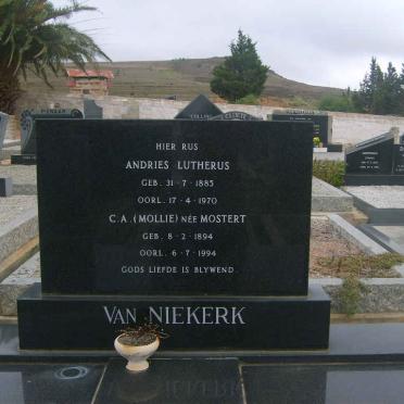 N - Vanne :: Surnames - N