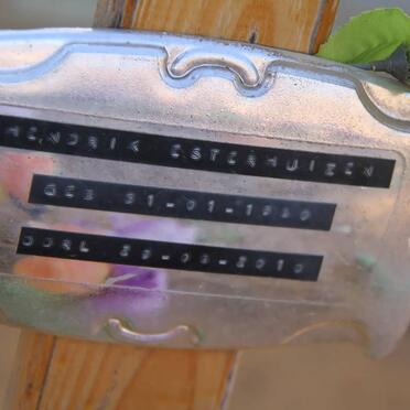 ESTERHUIZEN Hendrik 1930-2010