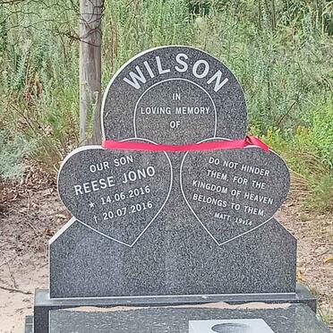 WILSON Reese Jono 2016-2016