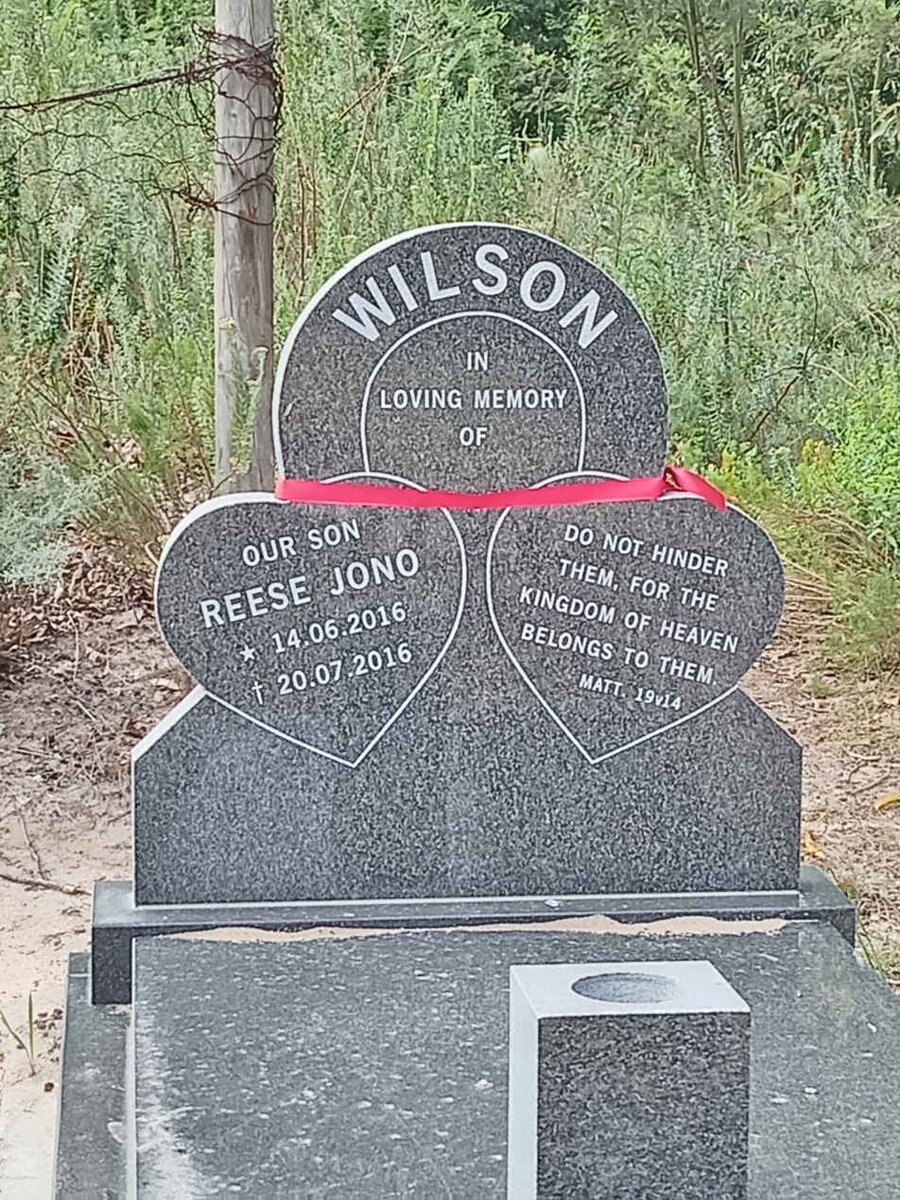 WILSON Reese Jono 2016-2016