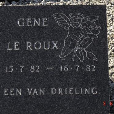 ROUX Gene, le 1982-1982