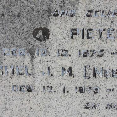 TOIT Pieter O.S., du 1875-1958 &amp; Rachel J.M. VAN DER MERWE 1879-1919 :: DU TOIT Ragie 1910-1921