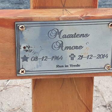 MAARTENS Amore 1964-2014