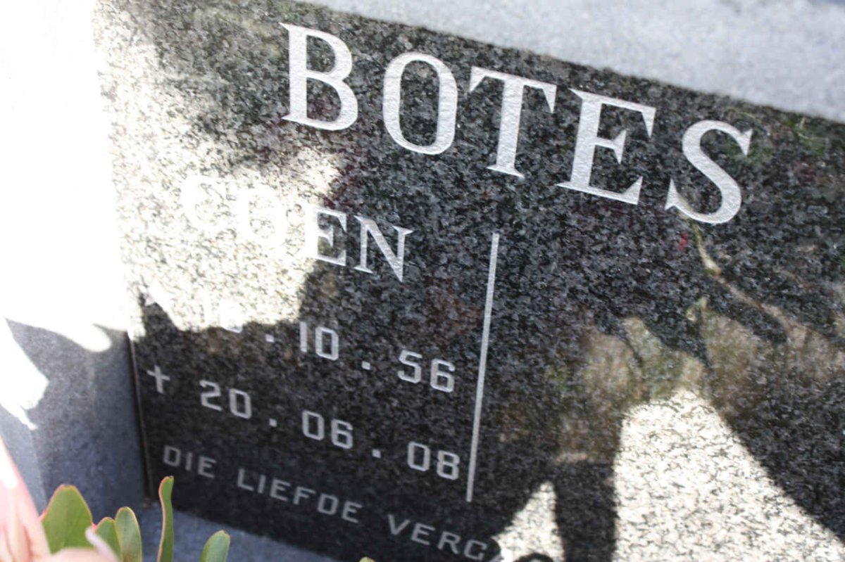 BOTES Coen 1956-2008