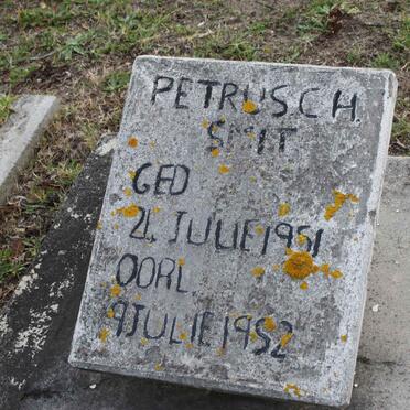 SMIT Petrusch 1951-1952