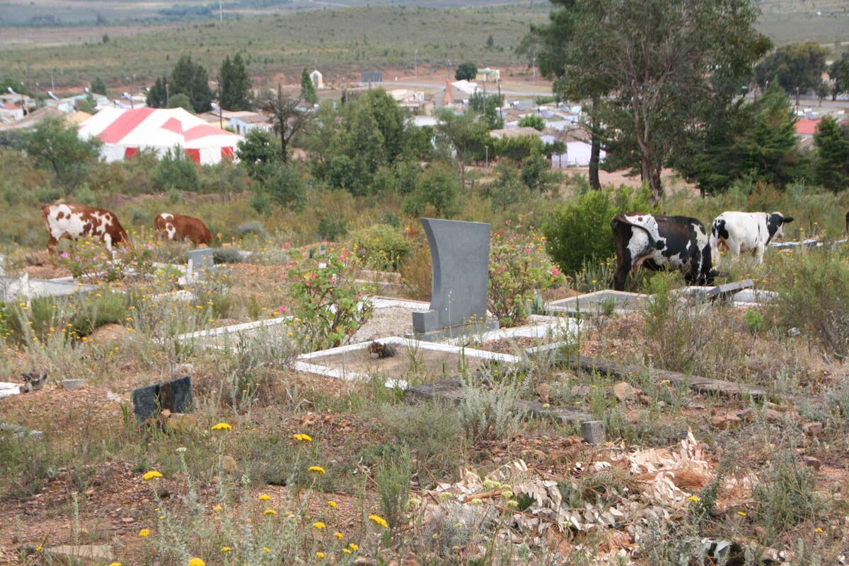 4. Overview / Oorsig