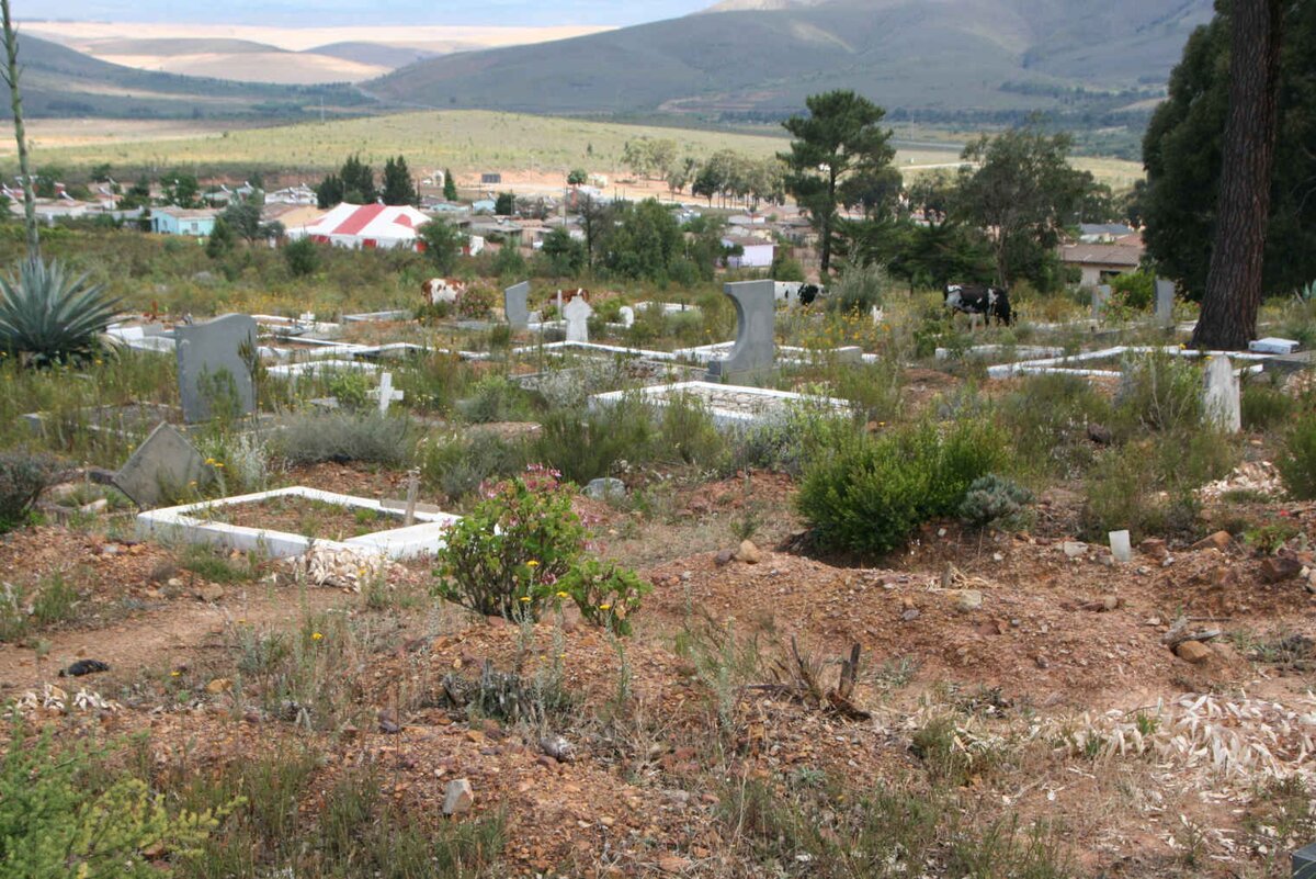 2. Overview / Oorsig