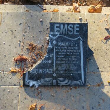 ?LEMSE 1915-2010