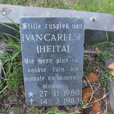 CARELSE Ivan 1980-1983