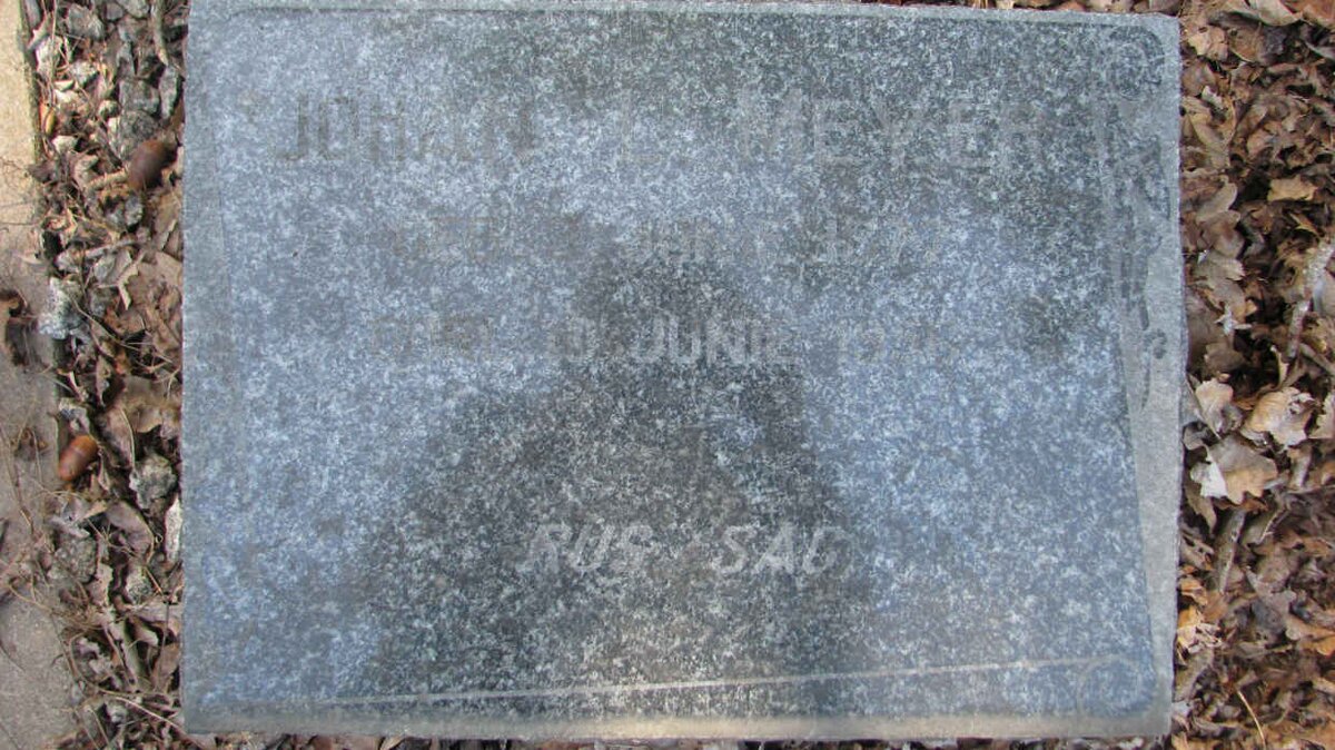 MEYER Johannes 1877-