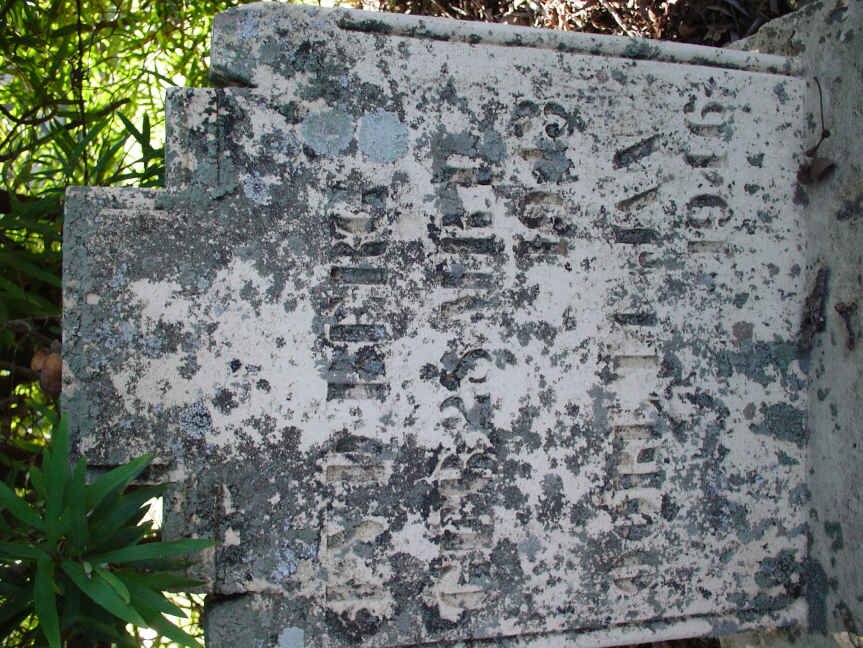 BERG J., v.d. 1913-1946