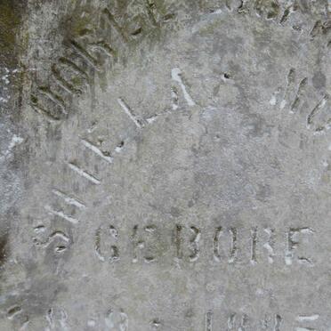 MULLER Sheila 1885-1951