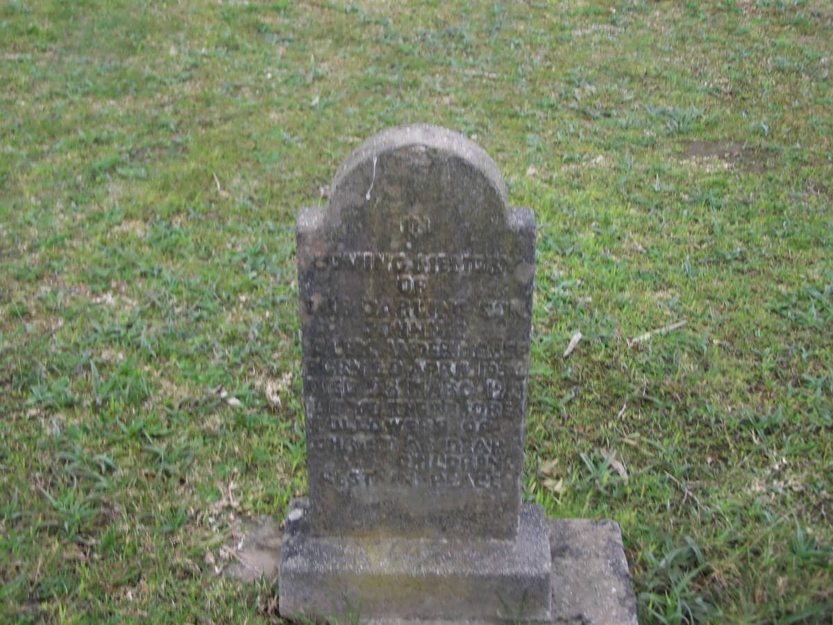 ANDERSON Johannes Alex