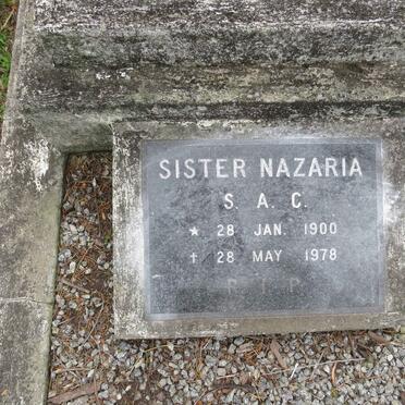 N - Vanne :: Surnames - N