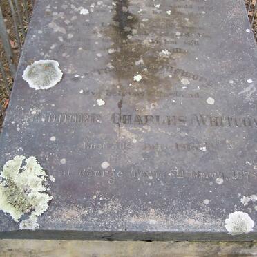 WHITCOMB Theodore Charles 1818-1878