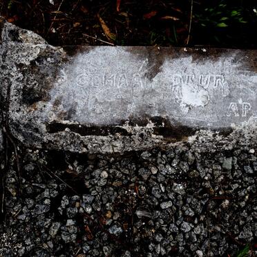 Graf gemaak deur A.P. Stols