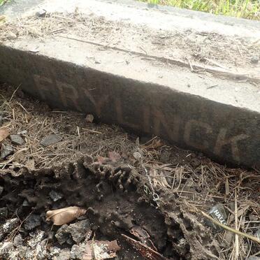 FRYLINCK Daniel Ernst 1870-1948 &amp; Agnes Francis HOWITSON 1881-1948 _1