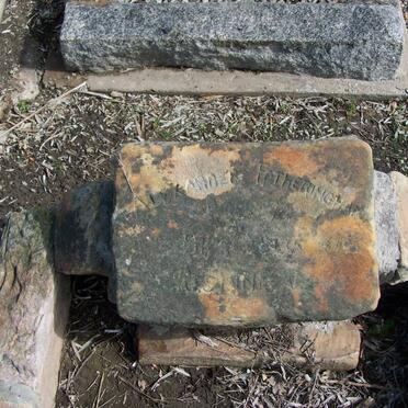 FOTHERINGHAM Alexander