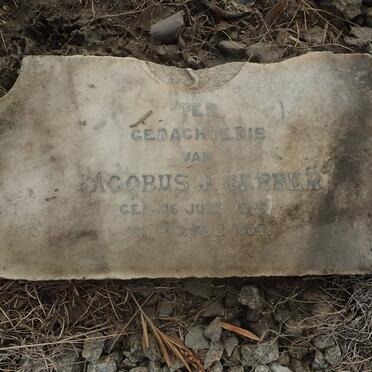 GERBER Jacobus J. 1874-1904