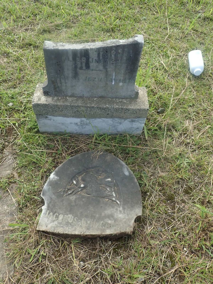 GERBER Jacobus C.H. 1852-1916 _1