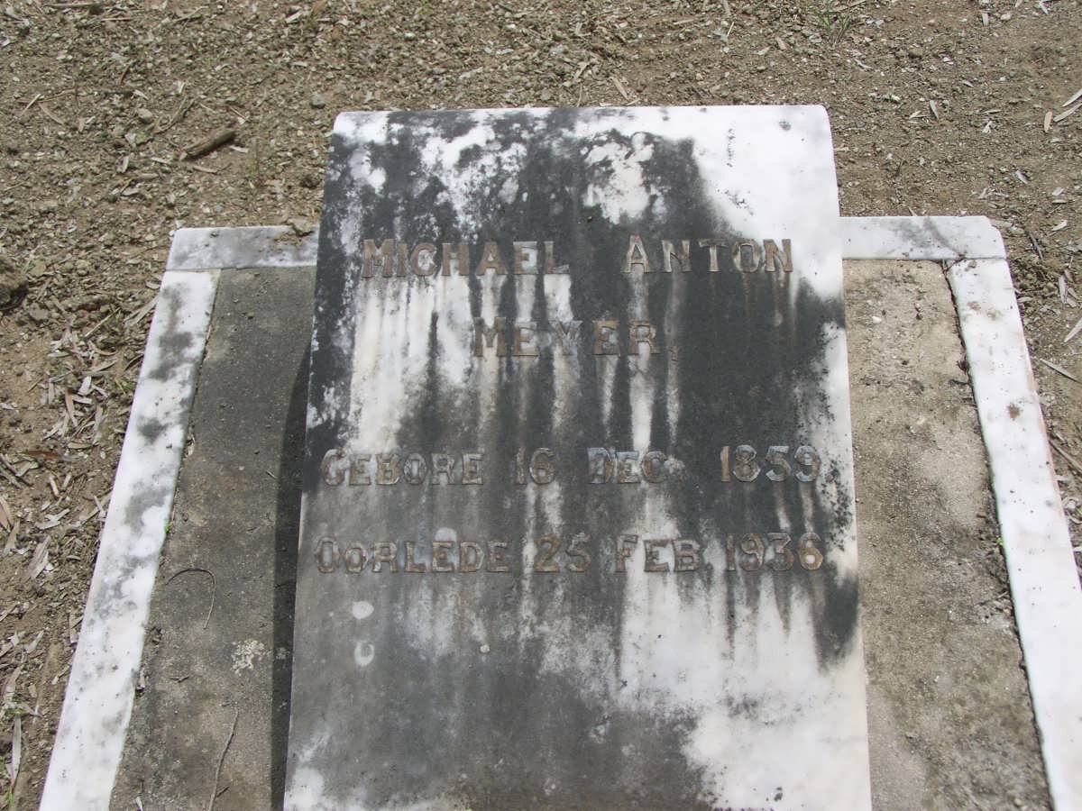 MEYER Michael Anton 1859-1936