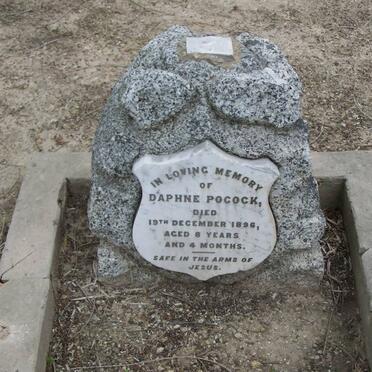 POCOCK Daphne -1896