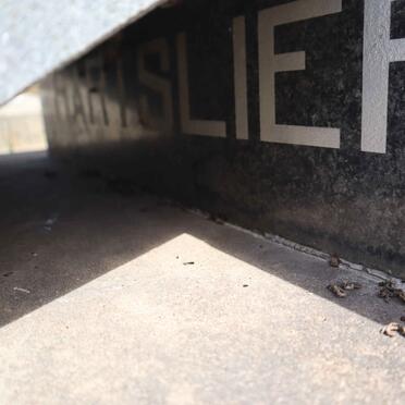 HARTSLIEF Johanna Sarah 1874-1950_2