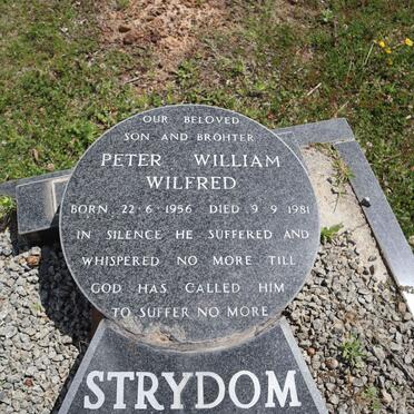 STRYDOM Peter William Wilfred 1956-1981